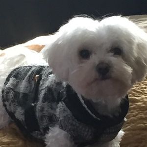 Meet your Posher, Kailey